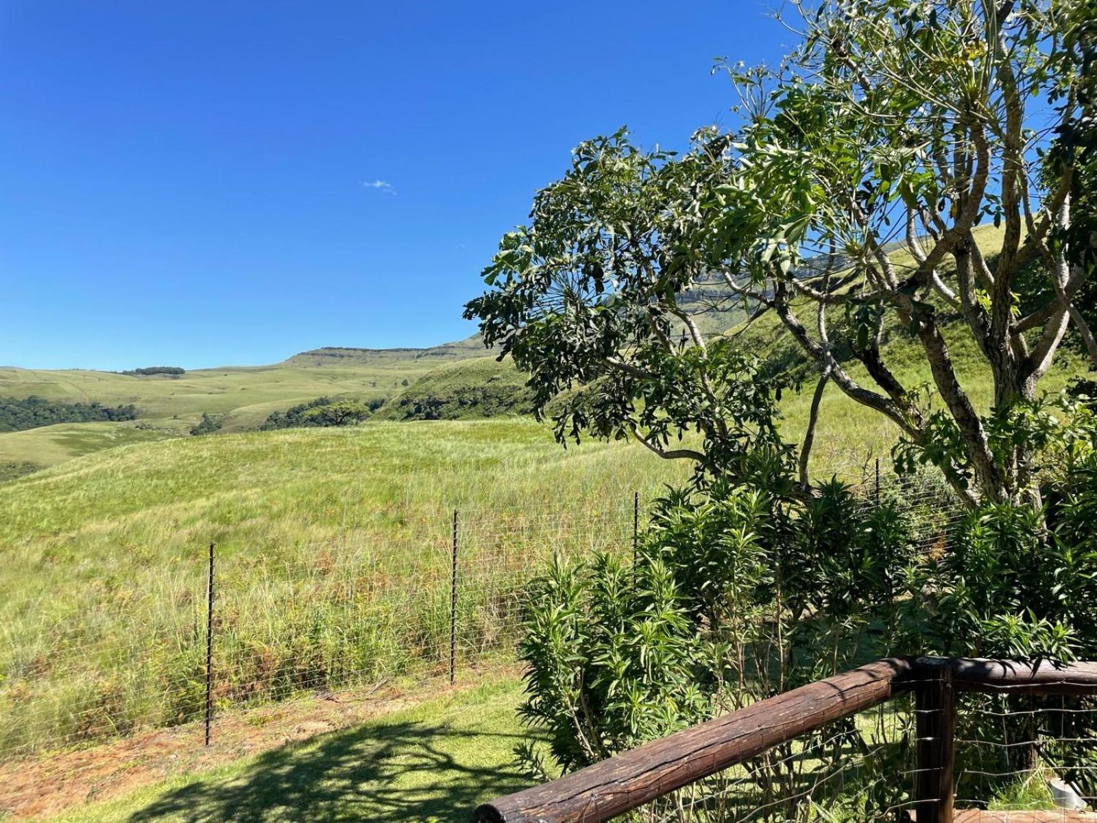 Mpofu Bergview